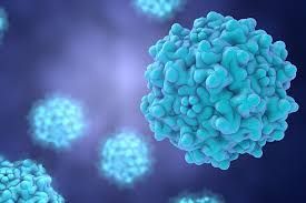 Viral Vector Overview: Discover Core Concepts, Applications, and Scientific Insights