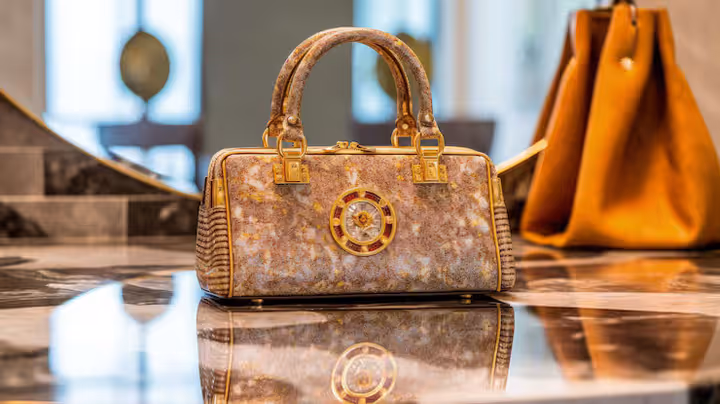 Luxury Handbag Basics: Understanding Design, Materials, and Style Evolution