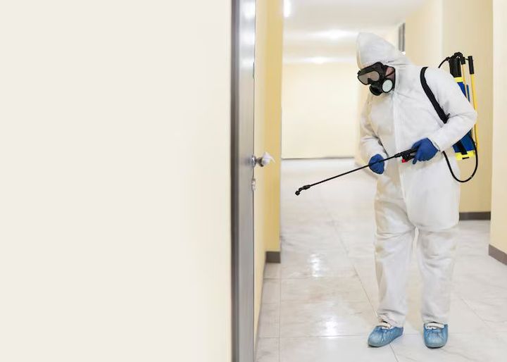 Learn About Termite Protection: Explore Facts, Key Insights, Tips, and Helpful Knowledge